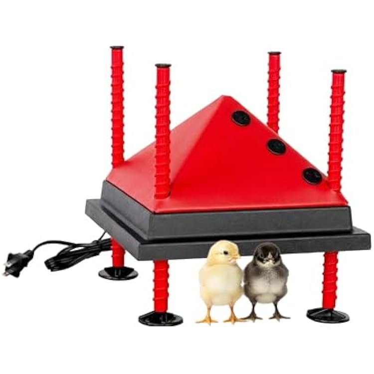 RentACoop 10x10 Adjustable Heating Plate with Bonus Foldable Anti-Roost Cone for up to 15 Chicks | Chick Brooder Heat Plate Energy-Efficient 15-Watt Chick Heater - Safer Than Heat Lamps